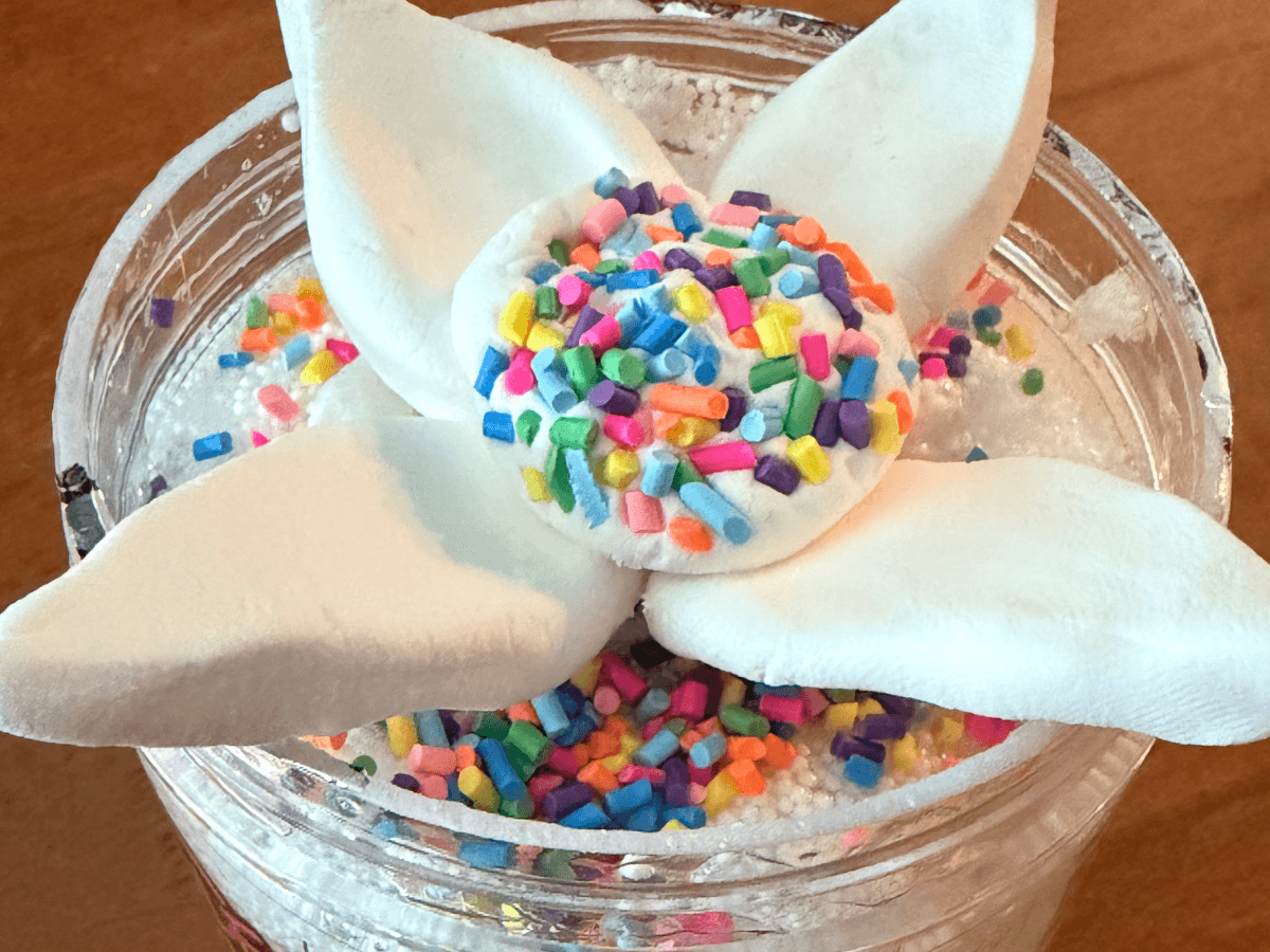 Fluffy Rainbow Crunch
