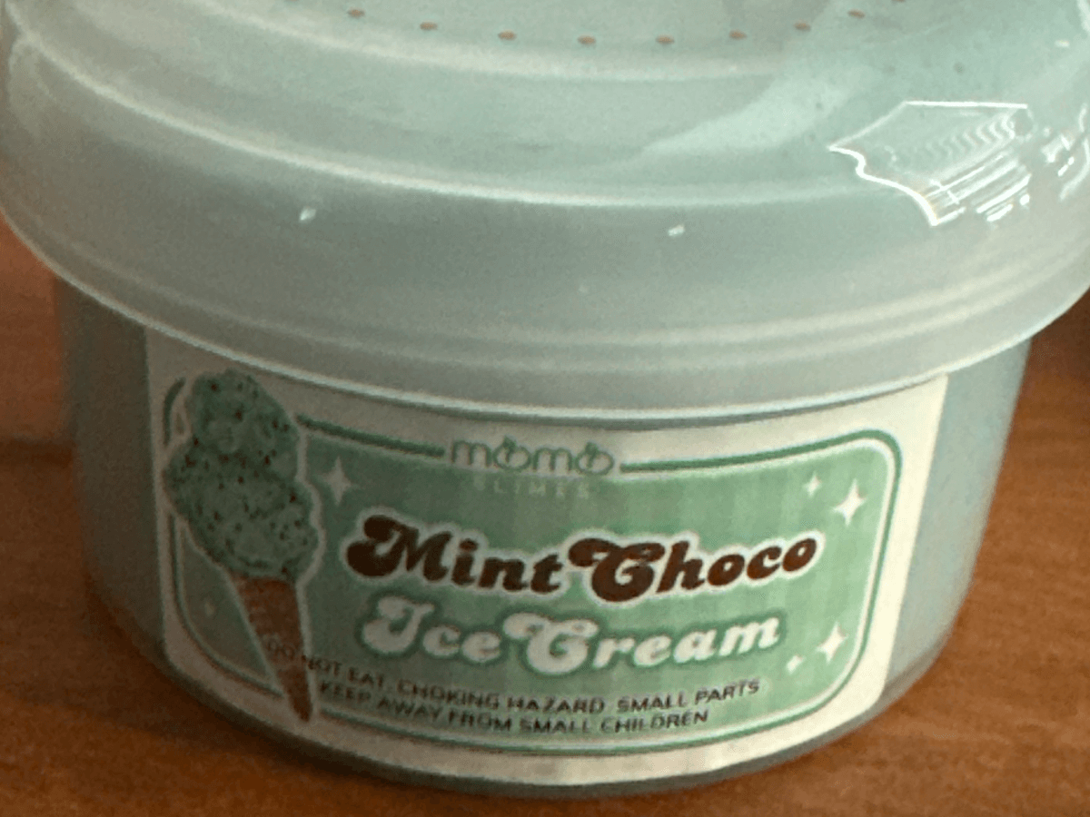 Mint Choco Ice Cream