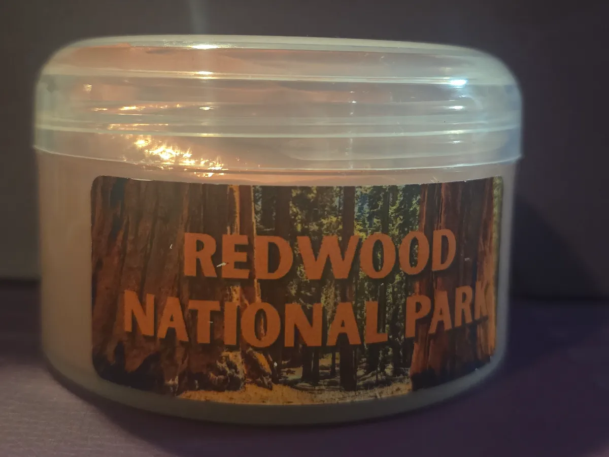 Redwood National Forest