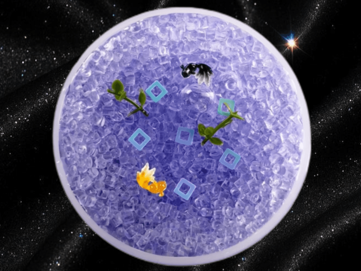 Pond Salt