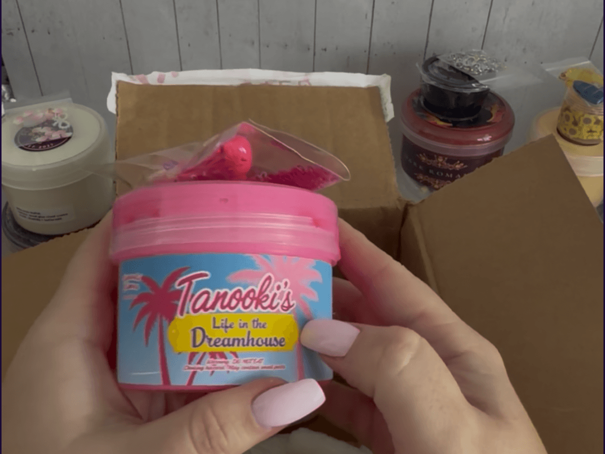 Tanooki’s Life in the Dreamhouse