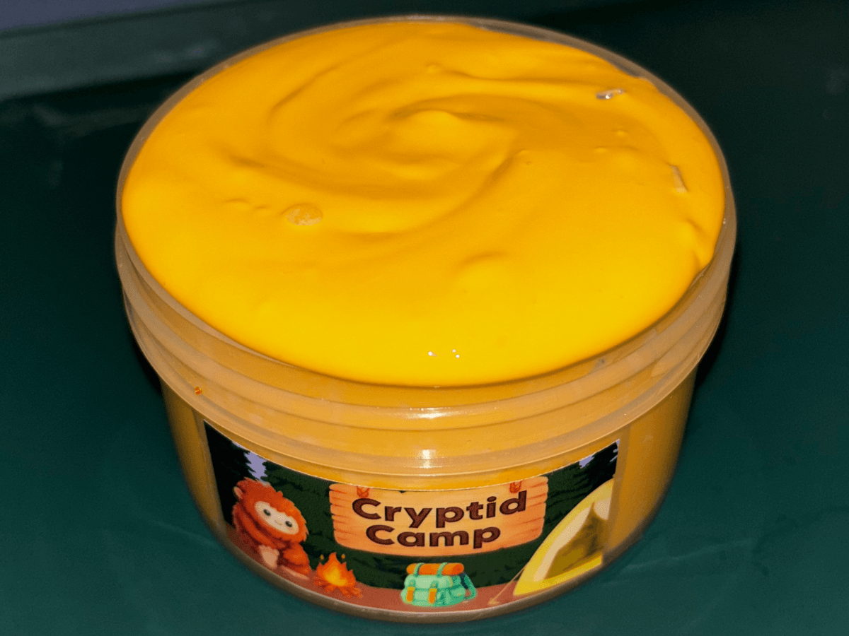 Cryptid Camp ποΈ
