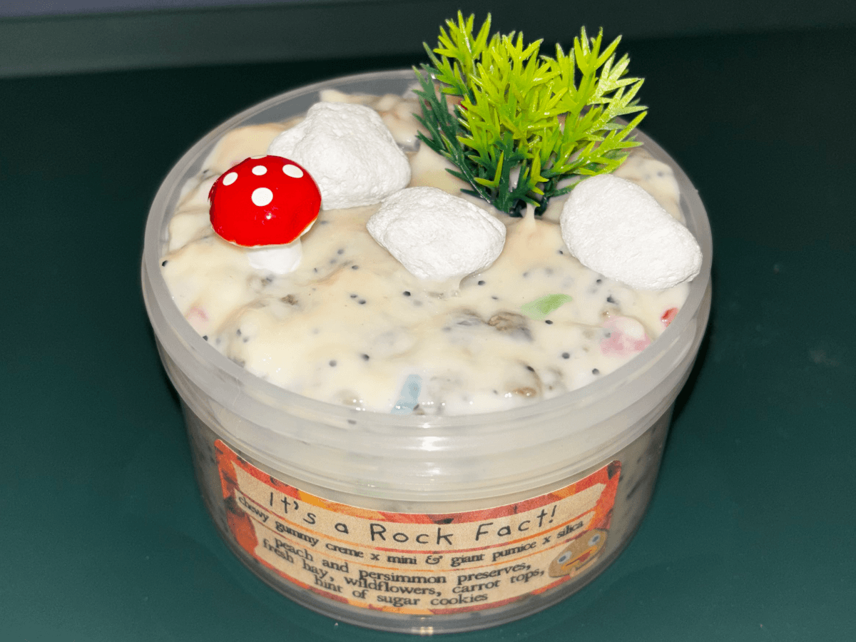 🍄It’s A Rock Fact! 🪨